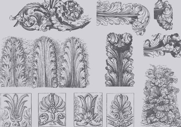 Vintage Acanthus Illustrations - vector gratuit #392361